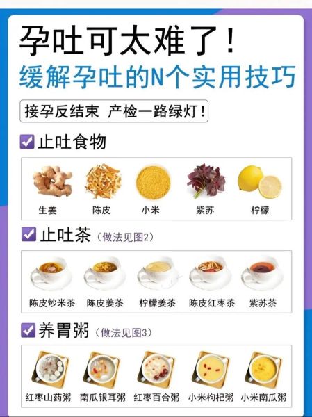 孕妇吃什么吐什么怎么办_孕早期吃什么不吐-第1张图片-星辰妙记 孕妇吃什么吐什么怎么办_孕早期吃什么不吐-第1张图片-星辰妙记