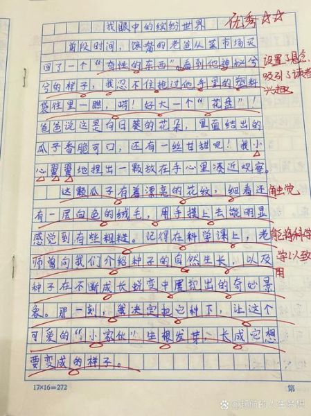 我眼中的世界作文怎么写_我眼中的世界作文素材有哪些-第3张图片-星辰妙记 我眼中的世界作文怎么写_我眼中的世界作文素材有哪些-第3张图片-星辰妙记