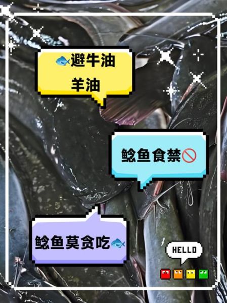 鲶鱼孕妇可以吃吗_孕妇吃鲶鱼注意事项-第1张图片-星辰妙记