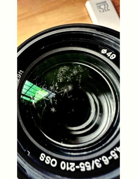 镜头发霉怎么处理_镜头霉斑会自己消失吗-第1张图片-星辰妙记 镜头发霉怎么处理_镜头霉斑会自己消失吗-第1张图片-星辰妙记