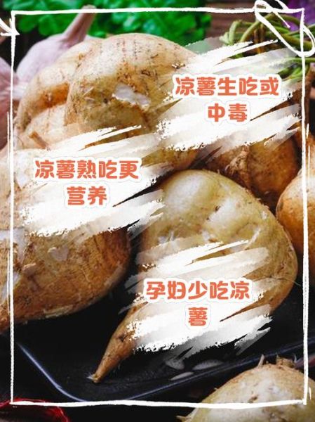 孕妇可以吃凉薯吗_凉薯对胎儿有影响吗-第1张图片-星辰妙记 孕妇可以吃凉薯吗_凉薯对胎儿有影响吗-第1张图片-星辰妙记