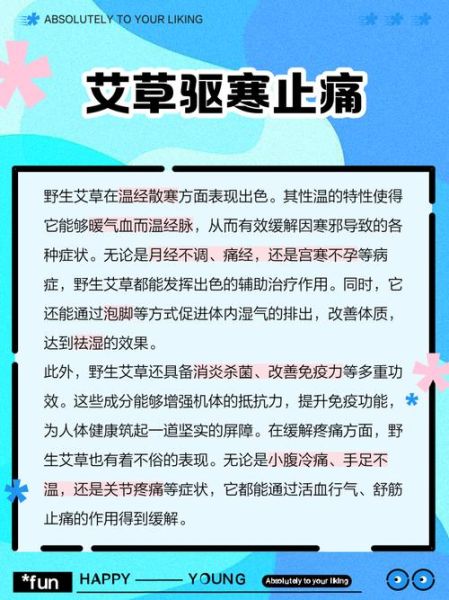 孕妇能用艾草吗_艾草对孕妇的影响-第2张图片-星辰妙记