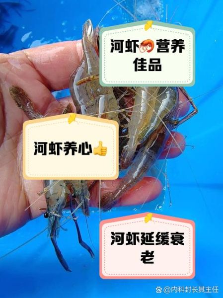 孕妇可以吃河虾吗_河虾对孕妇的好处与禁忌-第1张图片-星辰妙记