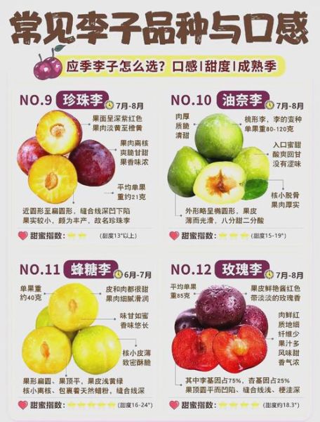 孕妇感冒能吃李子吗_李子对孕妇感冒的影响-第1张图片-星辰妙记