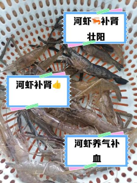 孕妇可以吃河虾吗_河虾对孕妇的好处与禁忌-第2张图片-星辰妙记