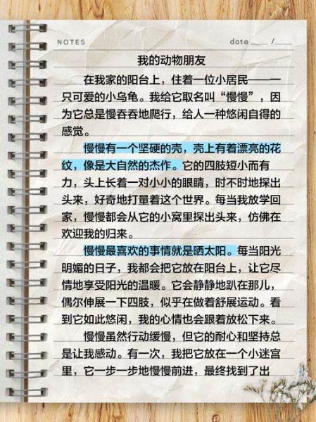 如何写好四百字作文_四百字作文写作技巧-第2张图片-星辰妙记