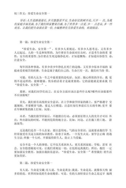 珍爱生命安全第一作文怎么写_如何写出300字以上-第1张图片-星辰妙记