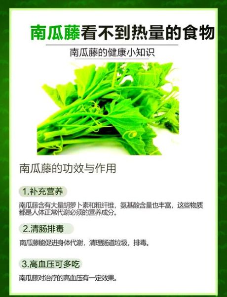 南瓜藤孕妇可以吃吗_孕妇吃南瓜藤注意事项-第1张图片-星辰妙记
