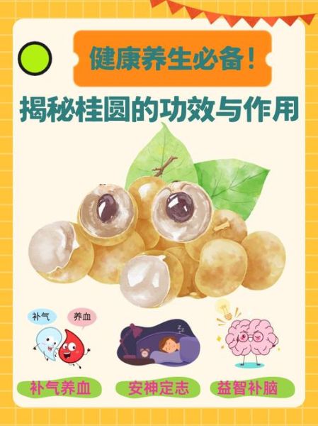 孕妇可以吃桂圆吗_孕早期吃桂圆注意事项-第3张图片-星辰妙记