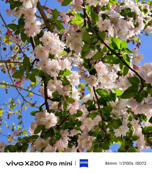 什么是蔡司镜头_蔡司镜头为什么这么贵-第2张图片-星辰妙记 什么是蔡司镜头_蔡司镜头为什么这么贵-第2张图片-星辰妙记