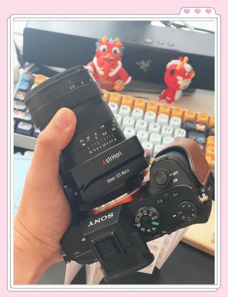 ef85镜头适合拍什么_怎么拍出背景虚化-第1张图片-星辰妙记