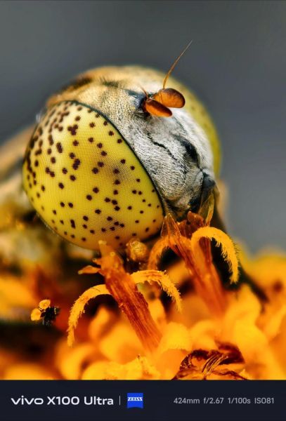 微距镜头手机怎么选_微距镜头手机推荐-第3张图片-星辰妙记 微距镜头手机怎么选_微距镜头手机推荐-第3张图片-星辰妙记