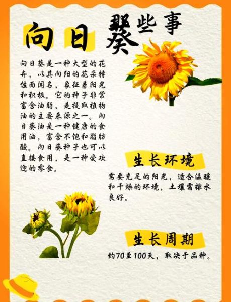 向日葵为什么总是向着太阳_向日葵的生长习性-第1张图片-星辰妙记 向日葵为什么总是向着太阳_向日葵的生长习性-第1张图片-星辰妙记
