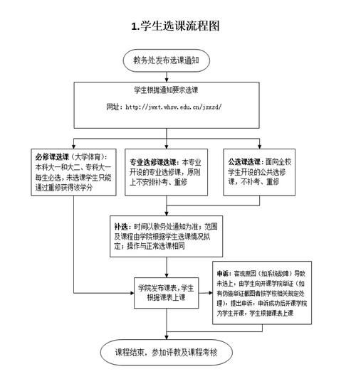 东北财经大学教务处_选课流程怎么走-第3张图片-星辰妙记 东北财经大学教务处_选课流程怎么走-第3张图片-星辰妙记