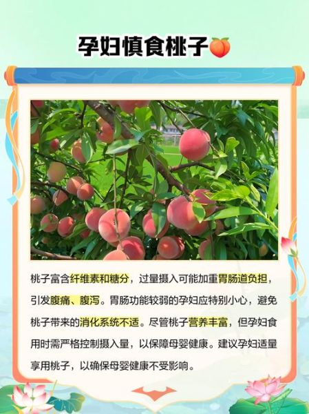 孕妇可以吃桃子吗_孕妇吃桃子的注意事项-第3张图片-星辰妙记