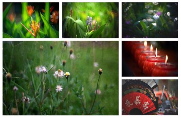 折返镜头画质怎么样_折返镜头画质好吗-第1张图片-星辰妙记