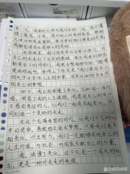 作文这是我的责任怎么写_如何立意才能拿高分-第3张图片-星辰妙记 作文这是我的责任怎么写_如何立意才能拿高分-第3张图片-星辰妙记