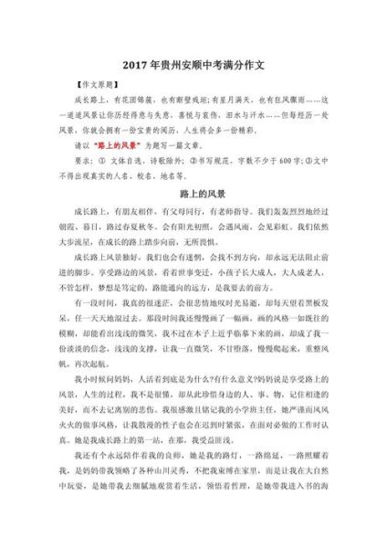 2017中考作文怎么写_满分技巧有哪些-第2张图片-星辰妙记