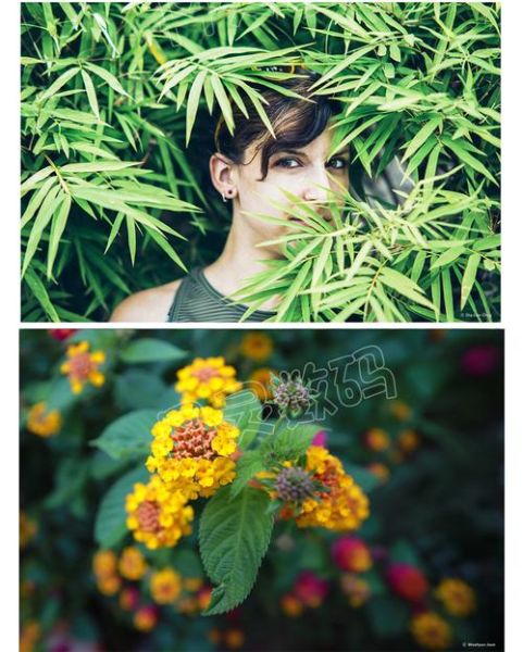 三阳85mm镜头怎么样_适合拍人像吗-第1张图片-星辰妙记 三阳85mm镜头怎么样_适合拍人像吗-第1张图片-星辰妙记