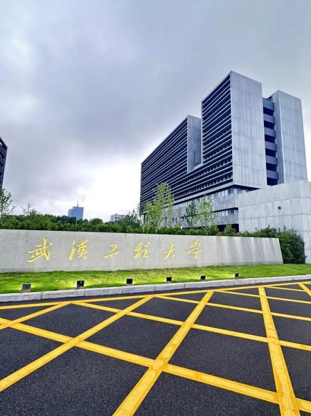 武汉工程大学王牌专业有哪些_就业前景怎么样-第2张图片-星辰妙记