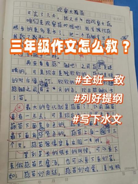 三年级作文怎么写_小学三年级作文技巧-第2张图片-星辰妙记