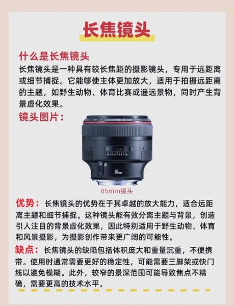 如何挑选适合的镜头_11镜头选购避坑指南-第2张图片-星辰妙记