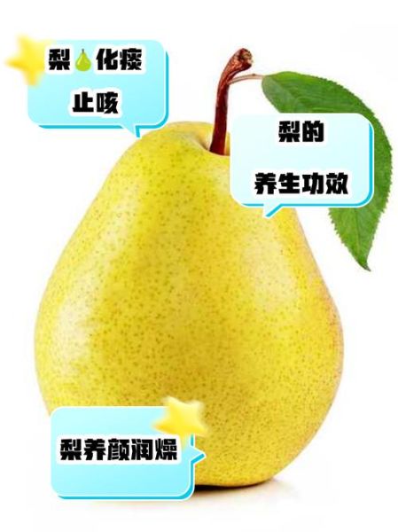 孕妇可以吃梨吗_梨对胎儿的好处-第1张图片-星辰妙记