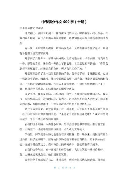 作文600字大全_如何写出高分作文-第2张图片-星辰妙记