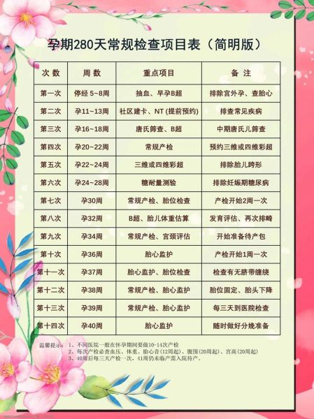 孕妇12周检查什么项目_12周产检要空腹吗-第3张图片-星辰妙记