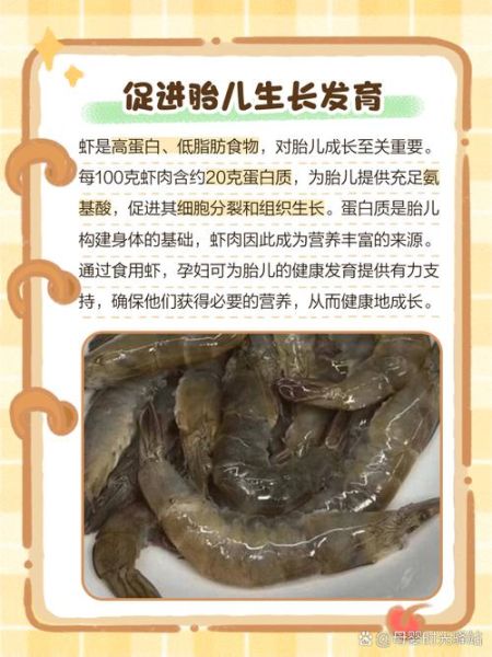 孕妇能吃虾吗_孕妇吃虾注意事项-第1张图片-星辰妙记 孕妇能吃虾吗_孕妇吃虾注意事项-第1张图片-星辰妙记