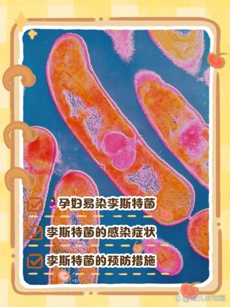 孕妇感染李斯特菌胎儿还有救吗_李斯特菌感染胎儿存活率-第2张图片-星辰妙记 孕妇感染李斯特菌胎儿还有救吗_李斯特菌感染胎儿存活率-第2张图片-星辰妙记