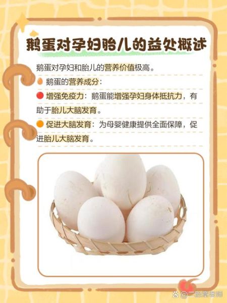 孕妇几个月吃鹅蛋好_鹅蛋对胎儿的好处-第2张图片-星辰妙记 孕妇几个月吃鹅蛋好_鹅蛋对胎儿的好处-第2张图片-星辰妙记