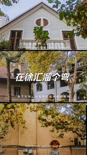 漫步镜头是什么_如何用漫步镜头拍出电影感-第2张图片-星辰妙记