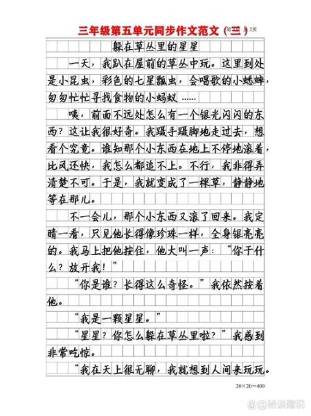 三年级下册优秀作文怎么写_三年级下册作文写作技巧-第3张图片-星辰妙记