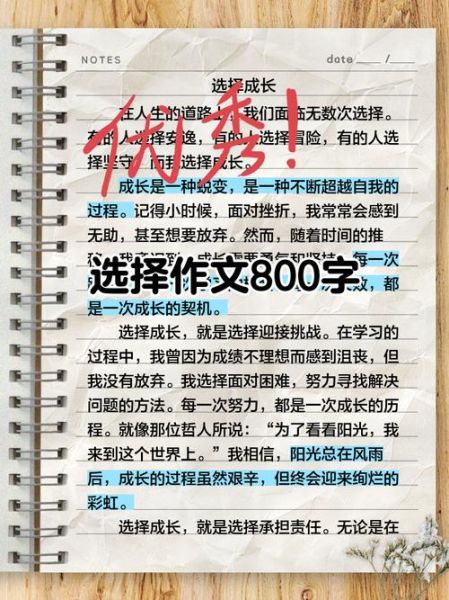 八年级作文怎么写_800字作文如何选材-第1张图片-星辰妙记 八年级作文怎么写_800字作文如何选材-第1张图片-星辰妙记