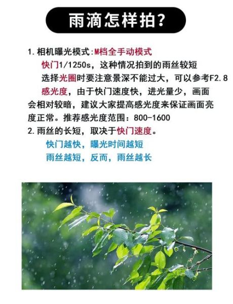 镜头光斑怎么拍_镜头光斑后期怎么做-第1张图片-星辰妙记