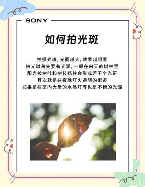 镜头光斑怎么拍_镜头光斑后期怎么做-第3张图片-星辰妙记