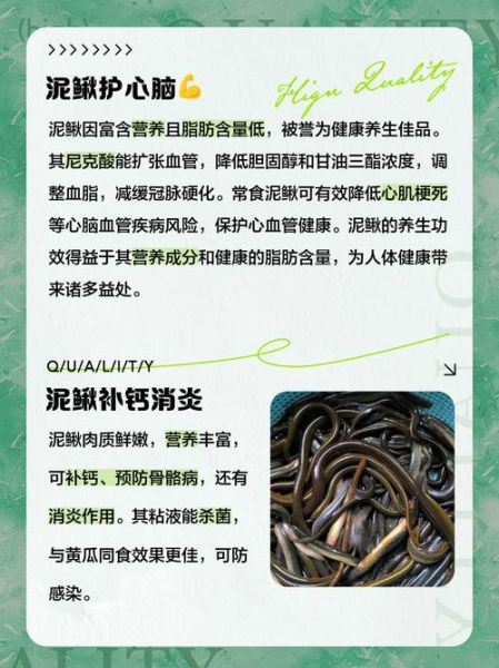 孕妇可以吃泥鳅吗_泥鳅对孕妇的好处与禁忌-第1张图片-星辰妙记