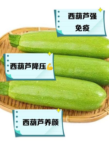 西葫芦孕妇能吃吗_西葫芦孕期怎么吃安全-第1张图片-星辰妙记