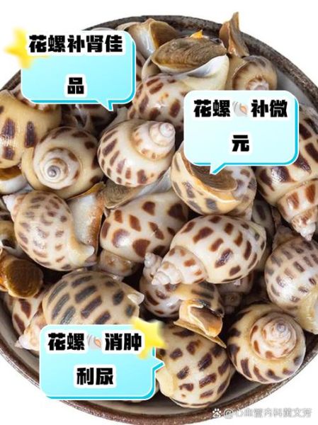 孕妇可以吃花螺吗_花螺对孕妇安全吗-第1张图片-星辰妙记