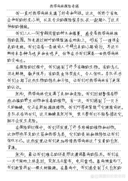 探险作文600字怎么写_探险作文600字写作技巧-第1张图片-星辰妙记 探险作文600字怎么写_探险作文600字写作技巧-第1张图片-星辰妙记