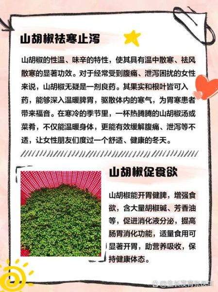 孕妇可以吃胡椒粉吗_孕期吃胡椒对胎儿有影响吗-第2张图片-星辰妙记