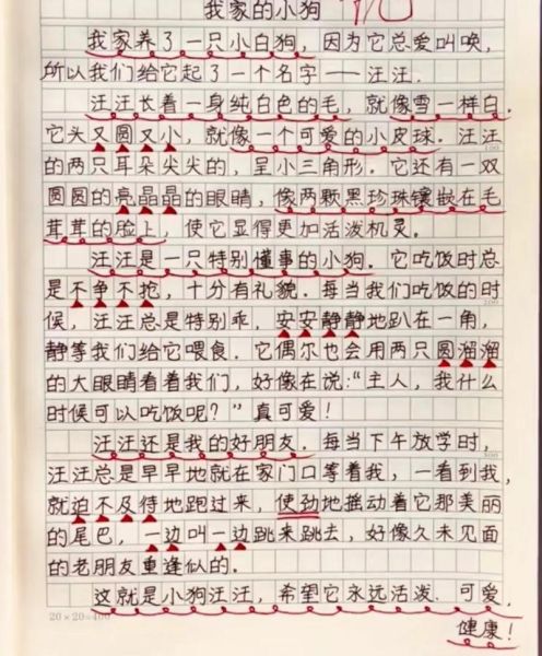 动物作文怎么写_描写小动物作文技巧-第2张图片-星辰妙记