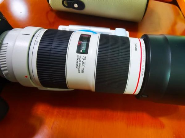 佳能70200价格_佳能70-200mm多少钱-第1张图片-星辰妙记