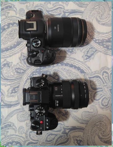 佳能24-70和索尼24-70哪个好_画质对比-第3张图片-星辰妙记 佳能24-70和索尼24-70哪个好_画质对比-第3张图片-星辰妙记