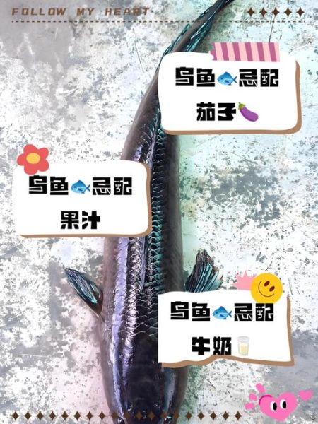 孕妇吃乌鱼对胎儿好吗_孕妇吃乌鱼注意事项-第2张图片-星辰妙记 孕妇吃乌鱼对胎儿好吗_孕妇吃乌鱼注意事项-第2张图片-星辰妙记