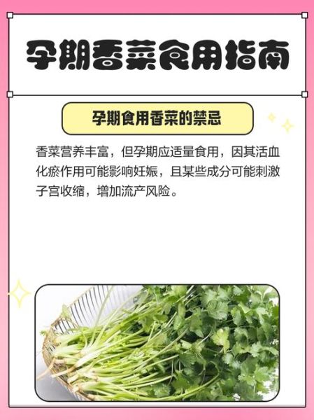 孕妇能吃芫荽吗_芫荽对孕妇的好处与禁忌-第1张图片-星辰妙记