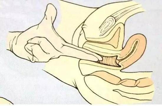 孕妇开一指到生要多久_分娩全过程时间-第3张图片-星辰妙记 孕妇开一指到生要多久_分娩全过程时间-第3张图片-星辰妙记