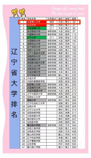 大连理工大学中外合作办学怎么样_学费一年多少钱-第2张图片-星辰妙记