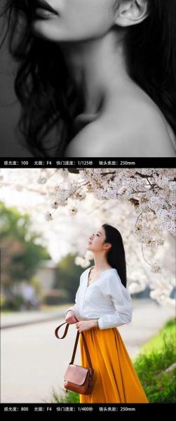 250镜头适合拍什么_250镜头拍人像还是风景-第1张图片-星辰妙记 250镜头适合拍什么_250镜头拍人像还是风景-第1张图片-星辰妙记